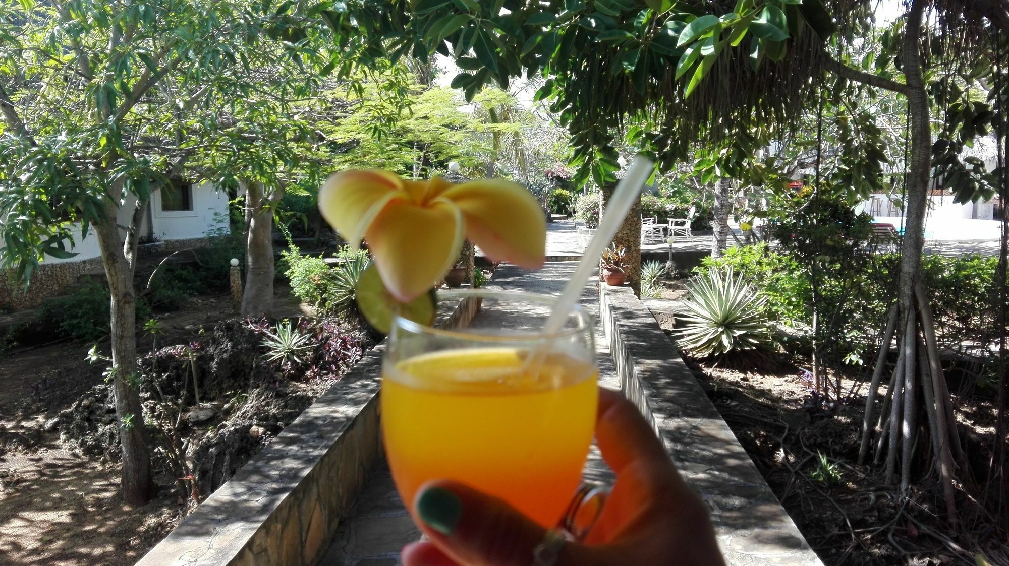 Flamingo Villas Resort Malindi Extérieur photo